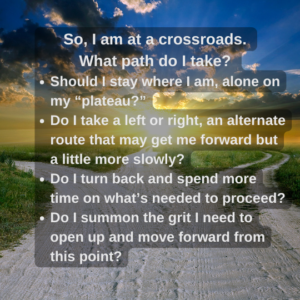 So, I am at a crossroads. What path do I take? 